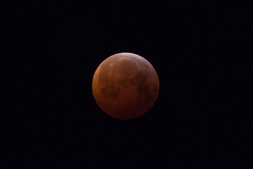 My first super blood wolf moon